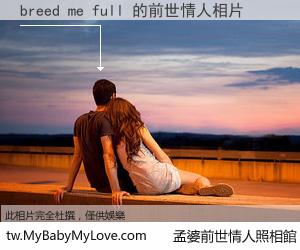 breed me full 的前世情人