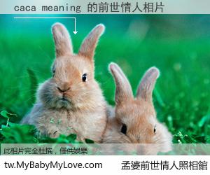 caca meaning 的前世情人