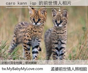 caro kann iqp 的前世情人