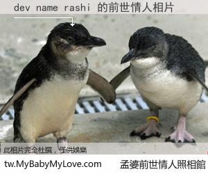 dev name rashi 的前世情人