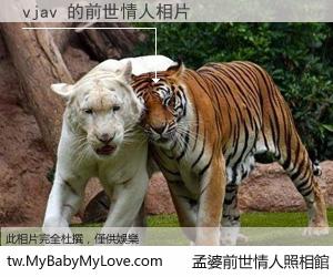 vjav 的前世情人