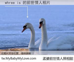 whree is 的前世情人