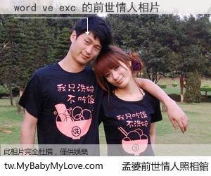 word ve exc 的前世情人