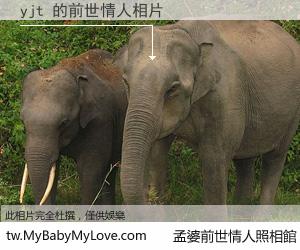 yjt 的前世情人