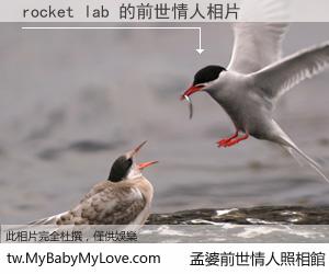 rocket lab 的前世情人