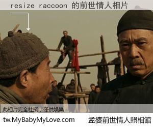 resize raccoon 的前世情人