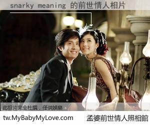 snarky meaning 的前世情人