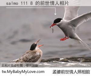 salmo 111 8 的前世情人