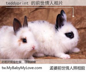 teddyprint 的前世情人