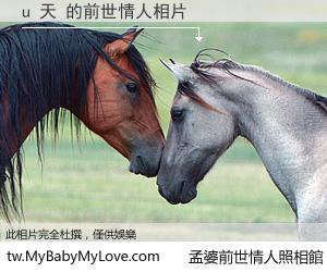 u 天 的前世情人