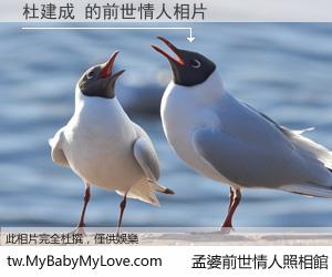 杜建成 的前世情人