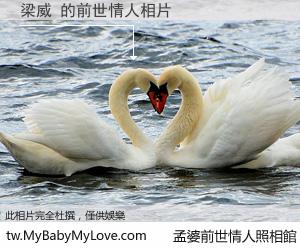 梁威 的前世情人