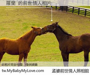 羅蘭 的前世情人