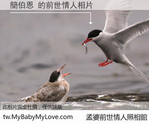 簡伯恩 的前世情人