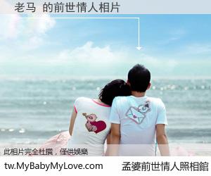 老马 的前世情人