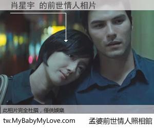 肖星宇 的前世情人