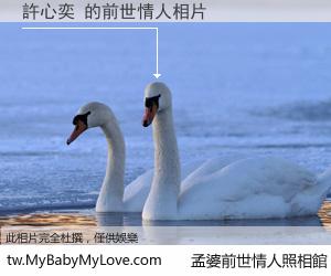 許心奕 的前世情人