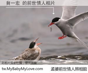 貟一宏 的前世情人