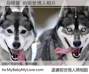 马晓馨 的前世情人