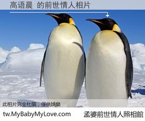 高语晨 的前世情人