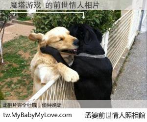魔塔游戏 的前世情人