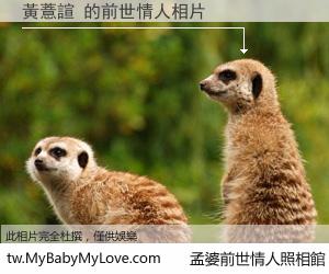 黃薏諠 的前世情人
