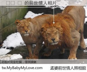 써밋 롤 的前世情人