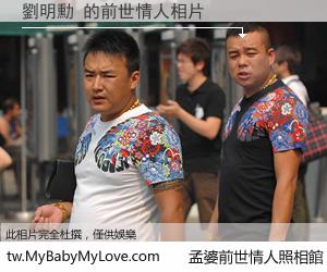 劉明勳 的前世情人