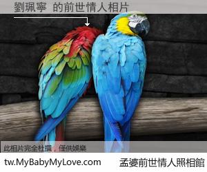 劉珮寧 的前世情人