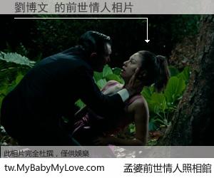 劉博文 的前世情人