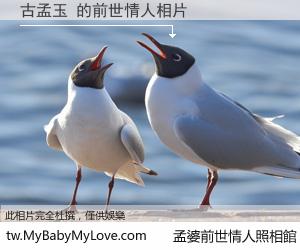 古孟玉 的前世情人