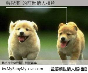 吳彩淇 的前世情人