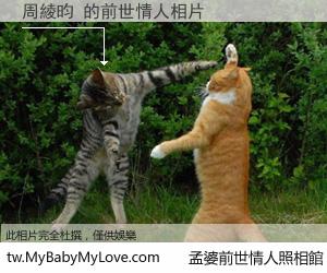 周綾昀 的前世情人