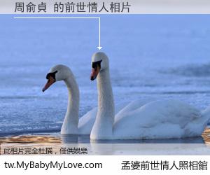 周俞貞 的前世情人