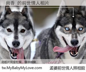 尚香 的前世情人