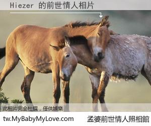 Hiezer 的前世情人