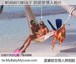 MT40A512M16LY 的前世情人