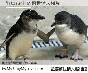 Natzzuri 的前世情人