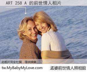 ART 258 A 的前世情人