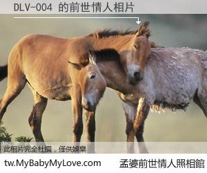 DLV-004 的前世情人