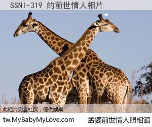 SSNI-319 的前世情人