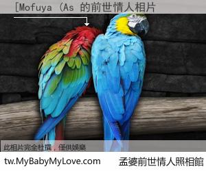 [Mofuya (As 的前世情人