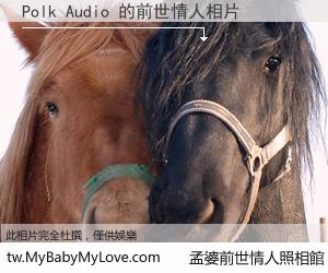 Polk Audio 的前世情人
