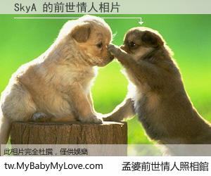 SkyA 的前世情人
