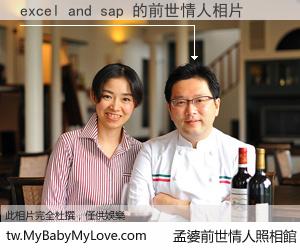 excel and sap 的前世情人
