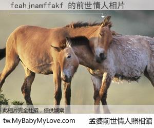 feahjnamffakf 的前世情人