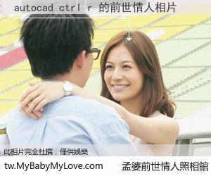 autocad ctrl r 的前世情人