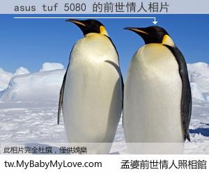 asus tuf 5080 的前世情人