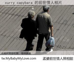 curry capybara 的前世情人
