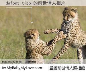 dafont tipo 的前世情人